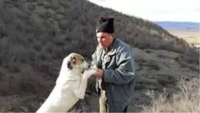Yorgun merminin isabet ettiği adam hayatını kaybetti Yorgun merminin isabet ettiği adam hayatını kaybetti