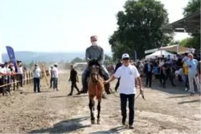 Atlı sporlar büyükşehirle şahlanıyor Atlı sporlar büyükşehirle şahlanıyor