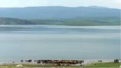 Aygır Gölü'nde Covid-19 sessizliği Aygır Gölü'nde Covid-19 sessizliği