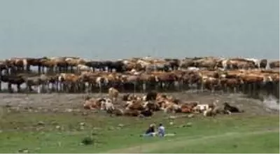 Aygır Gölü'nde Covid-19 sessizliği Aygır Gölü'nde Covid-19 sessizliği
