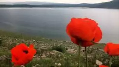 Aygır Gölü'nde Covid-19 sessizliği Aygır Gölü'nde Covid-19 sessizliği