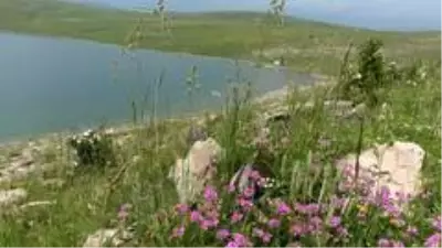 Aygır Gölü'nde Covid-19 sessizliği Aygır Gölü'nde Covid-19 sessizliği