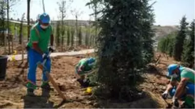 Başakşehir'e bir sayfiye alanı daha Başakşehir'e bir sayfiye alanı daha