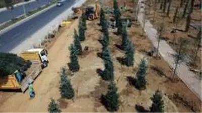 Başakşehir'e bir sayfiye alanı daha Başakşehir'e bir sayfiye alanı daha