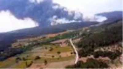 Çanakkale'de orman yangını (2) - Yeniden