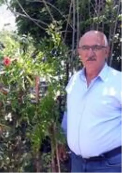 Çevre Araştırmacısı Yaşar: Çevre Araştırmacısı Yaşar: