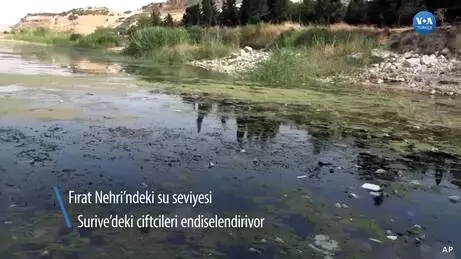 Fırat Nehri'ndeki Su Seviyesi Suriye'deki Çiftçileri Endişelendiriyor Fırat Nehri'ndeki Su Seviyesi Suriye'deki Çiftçileri Endişelendiriyor