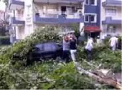 Fırtına Alaşehir'de hayatı olumsuz etkiledi Fırtına Alaşehir'de hayatı olumsuz etkiledi