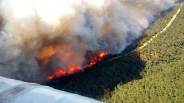 Gelibolu'da poyraz yangın söndürme işini zorlaştırıyor