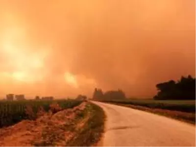 Gelibolu'da poyraz yangın söndürme işini zorlaştırıyor Gelibolu'da poyraz yangın söndürme işini zorlaştırıyor