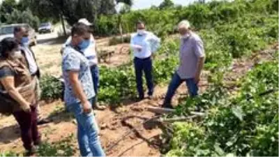 Kaymakam Uçgun, fırtınadan zarar gören üreticileri ziyaret etti Kaymakam Uçgun, fırtınadan zarar gören üreticileri ziyaret etti