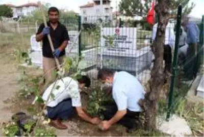 Kaymakamlıklardan 'Kahramanlara vefa' projesi Kaymakamlıklardan 'Kahramanlara vefa' projesi