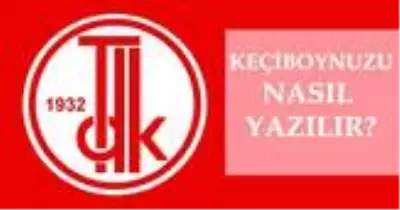 Keçiboynuzu nasıl yazılır? TDK'ya göre Keçiboynuzu mu, Keçi boynuzu mu? Keçiboynuzu ne demek? Keçiboynuzu nasıl yazılır? TDK'ya göre Keçiboynuzu mu, Keçi boynuzu mu? Keçiboynuzu ne demek?