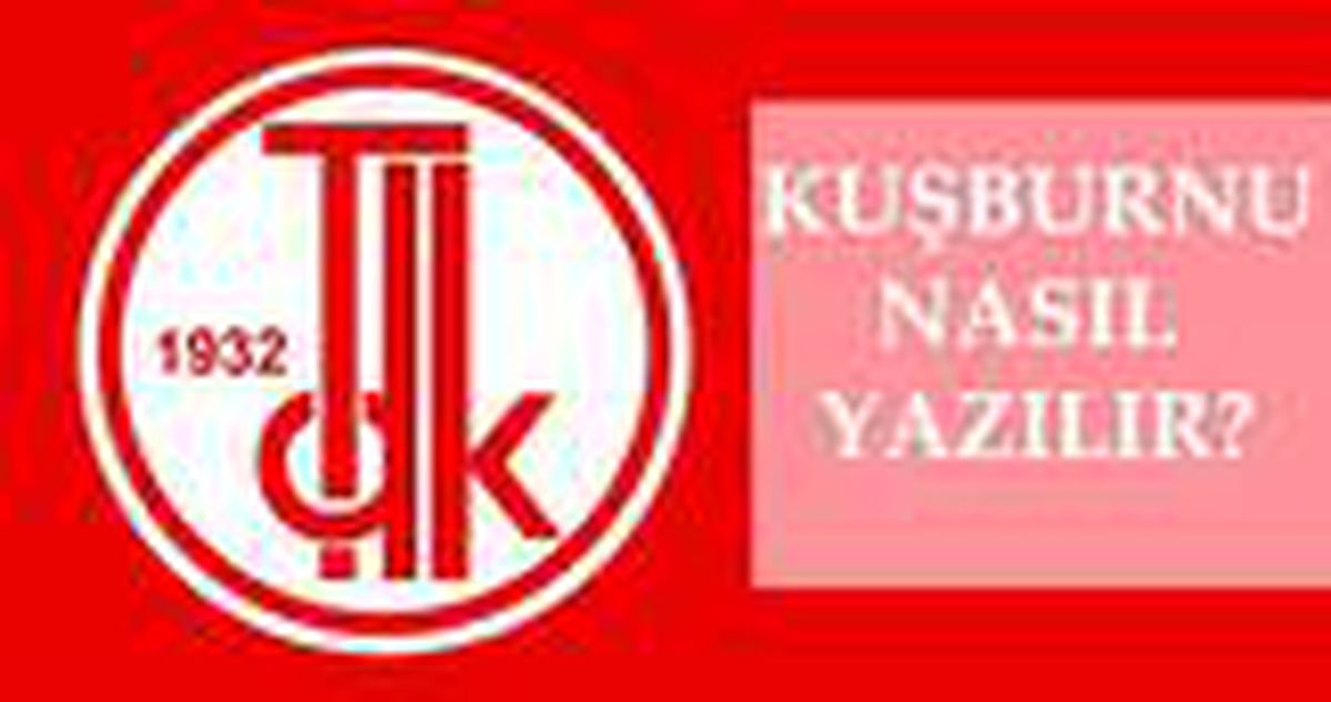 Kuşburnu nasıl yazılır? TDK'ya göre kuşburnu mu, kuş burnu mu? Kuşburnu ne demek?