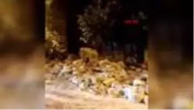 Manisa Şiddetli fırtına cami minaresini devirdi Manisa Şiddetli fırtına cami minaresini devirdi
