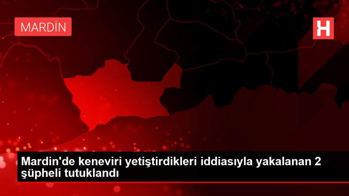 Mardin'de keneviri yetiştirdikleri iddiasıyla yakalanan 2 şüpheli tutuklandı