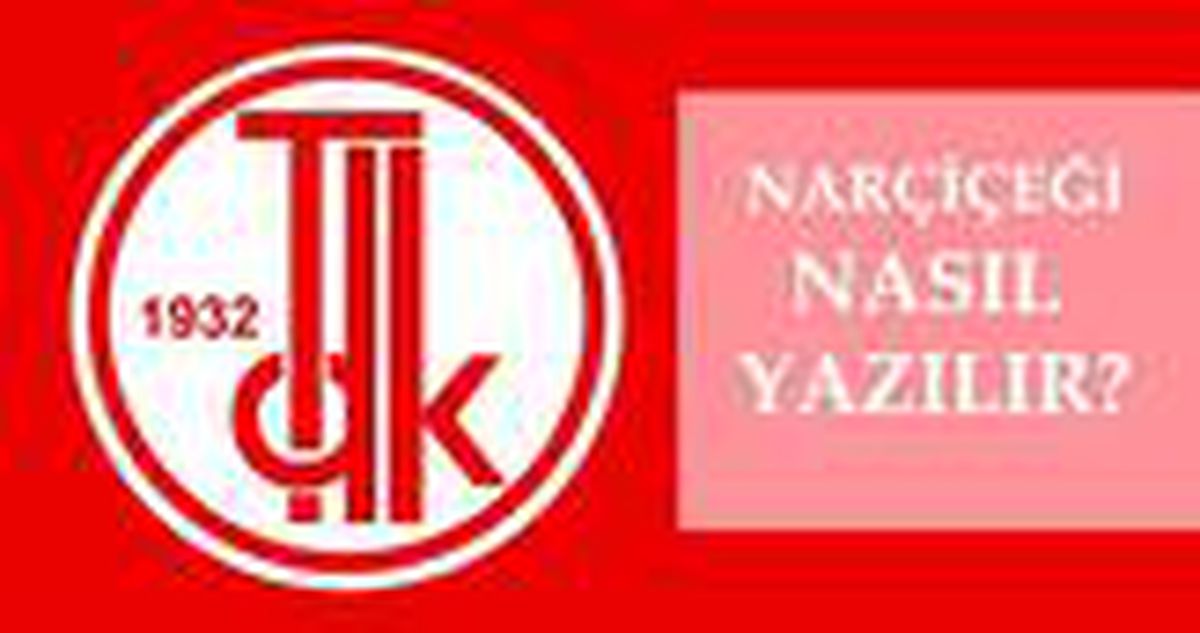 Narçiçeği nasıl yazılır? TDK'ya göre Narçiçeği mi, Nar çiçeği mi? Narçiçeği ne demek?