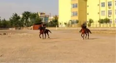 Siirt'te yetiştirilen rahvan atları sıfır araba fiyatına satılıyor Siirt'te yetiştirilen rahvan atları sıfır araba fiyatına satılıyor