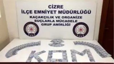 Şırnak'ta kaçakçılık operasyonu: 47 gözaltı Şırnak'ta kaçakçılık operasyonu: 47 gözaltı