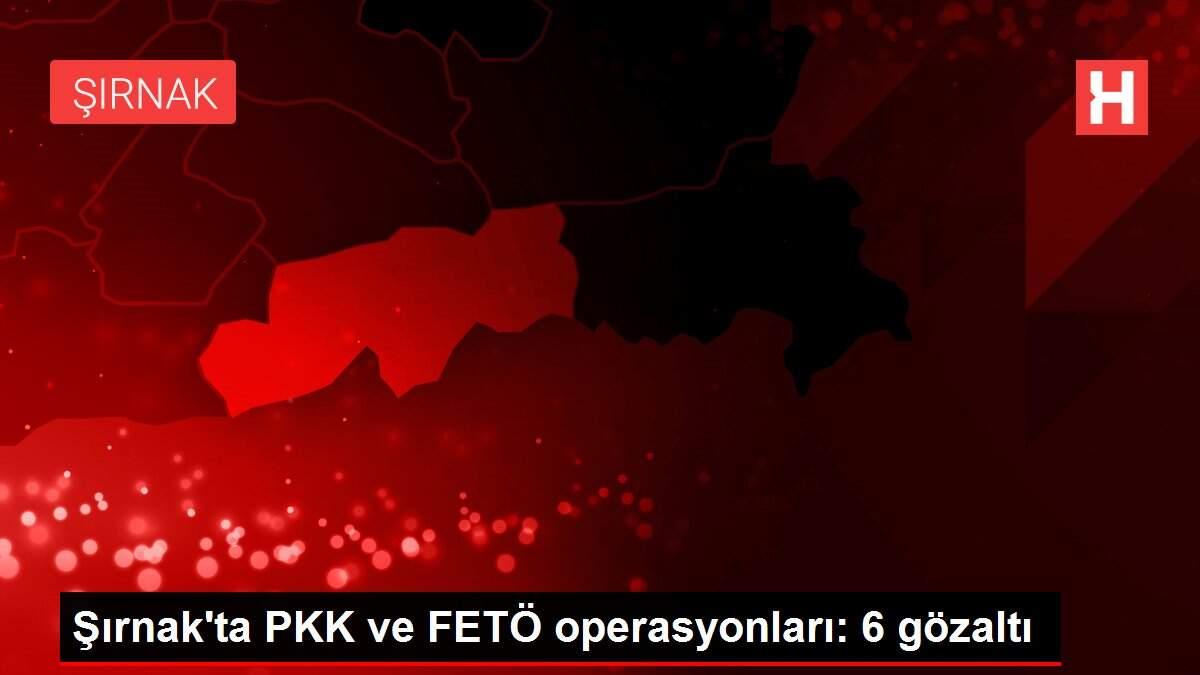 Şırnak'ta PKK ve FETÖ operasyonları: 6 gözaltı Şırnak'ta PKK ve FETÖ operasyonları: 6 gözaltı