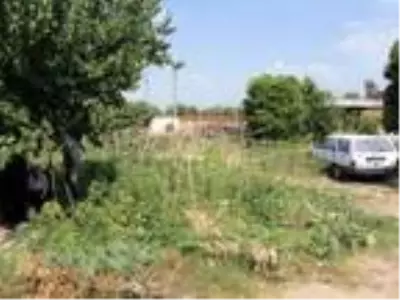 Sulamak için indiği bahçesinde ölü bulundu