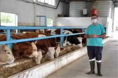 Tedavi için gittiği hayvan çiftliklerinden etkilendi ve kendi çiftliğini kurdu