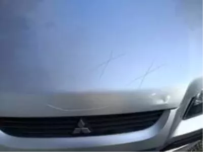 Turgut Şelalesi'ne yiyecekle giren yerli turistlerin aracını haritaya çevirdiler