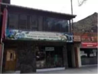 Yusufeli'nde ölü bulunan yaban hayvanları müzede sergilenecek