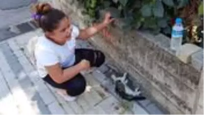 haber son dakika haberler
