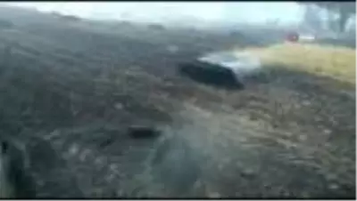 Anız yangını ormana sıçradı