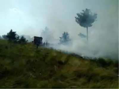 Anız yangını ormana sıçradı Anız yangını ormana sıçradı