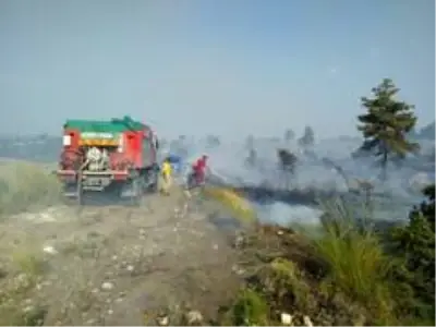 Anız yangını ormana sıçradı Anız yangını ormana sıçradı