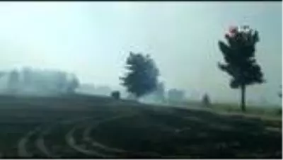 Anız yangını ormana sıçradı Anız yangını ormana sıçradı