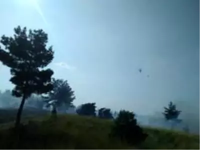 Anız yangını ormana sıçradı Anız yangını ormana sıçradı