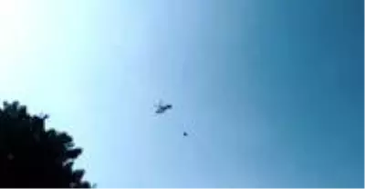 Anız yangını ormana sıçradı Anız yangını ormana sıçradı