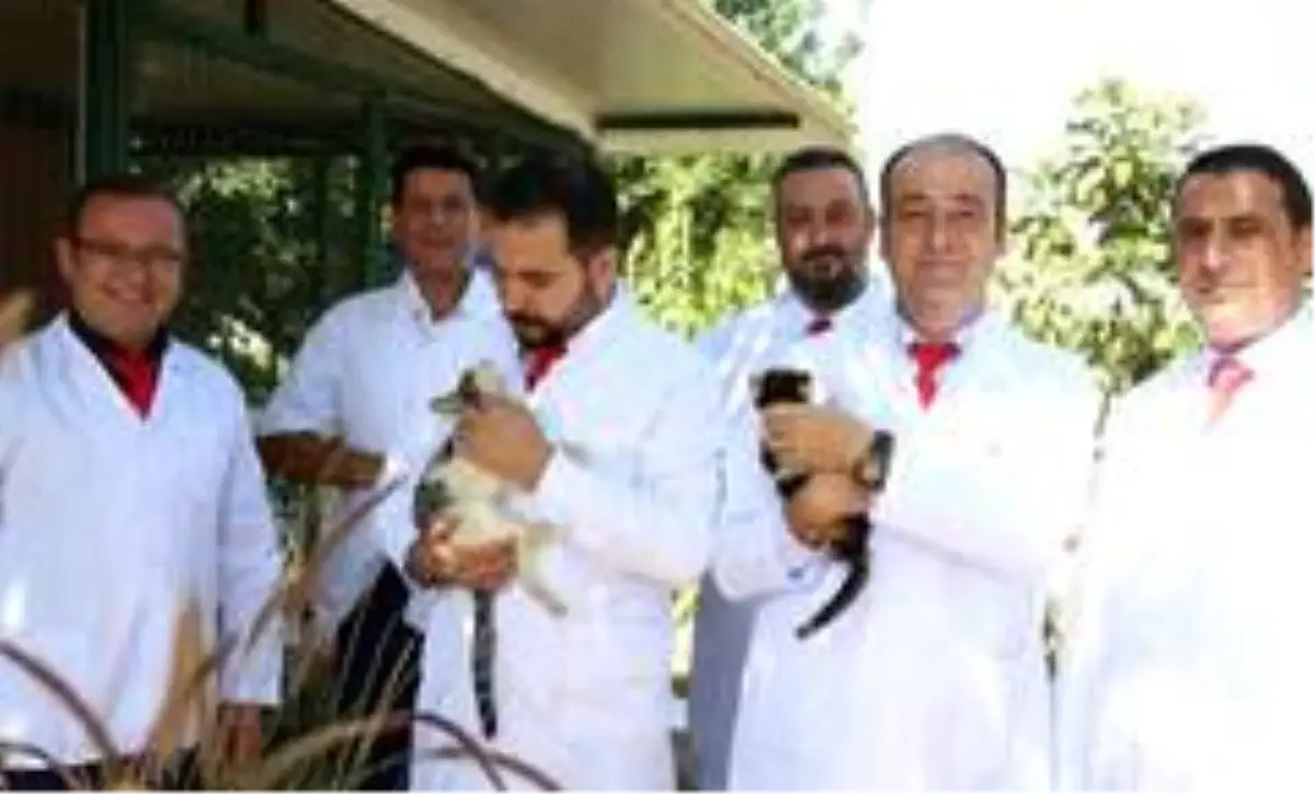 Aydın Veteriner Hekimleri Odası Başkanı Şahin, 'Hayvan sevgisi şifadır'