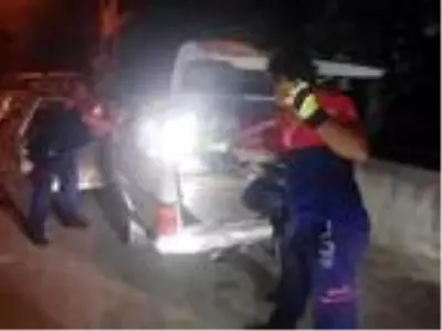 Bagajdan yılan çıktı
