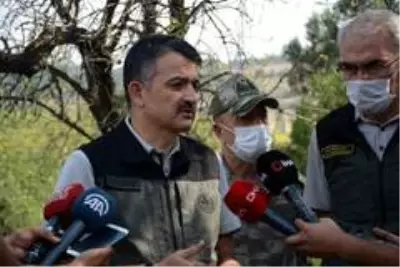 Bakan Pakdemirli: Çanakkale'deki orman yangını kontrol altına alındı Bakan Pakdemirli: Çanakkale'deki orman yangını kontrol altına alındı