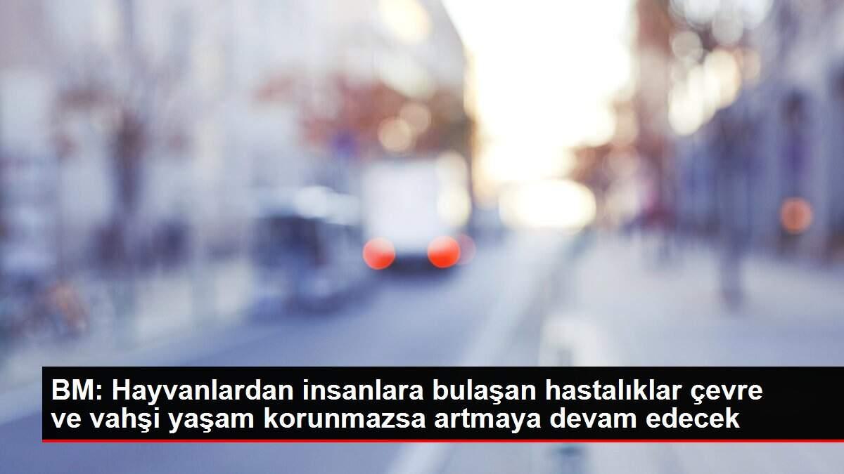 Bm Hayvanlardan Insanlara Bulasan Hastaliklar Cevre Ve Vahsi Yasam Korunmazsa Artmaya Devam Edecek Haberler