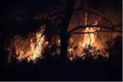Çanakkale'de orman yangını (4)