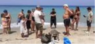 Didim ve Kuşadası'nda 2 ölü deniz kaplumbağası bulundu Didim ve Kuşadası'nda 2 ölü deniz kaplumbağası bulundu