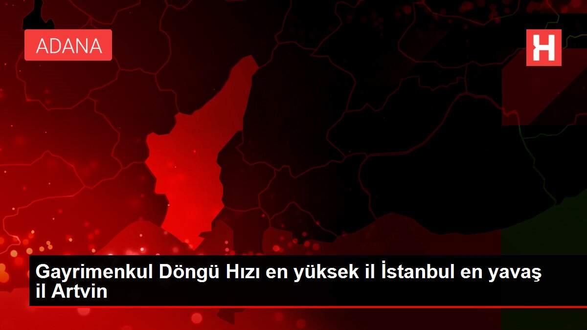 Gayrimenkul Dongu Hizi En Yuksek Il Istanbul En Yavas Il Artvin Istanbul