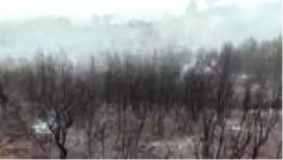 Gelibolu Yarımadası’ndaki orman yangınına havadan müdahale yeniden başladı (2)