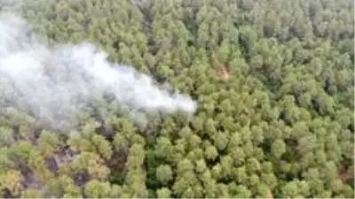 İstanbul'da 15 dekar orman yandı İstanbul'da 15 dekar orman yandı