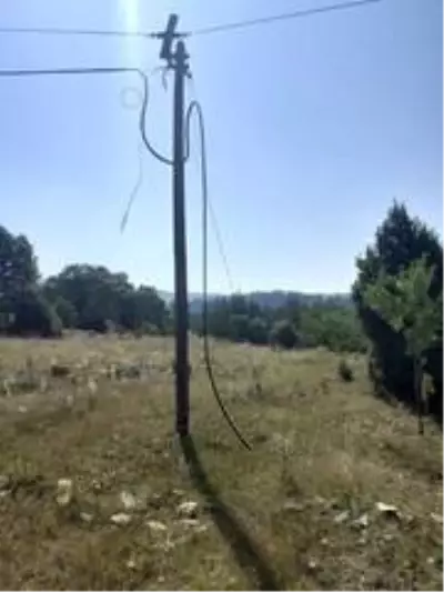 Kablo hırsızlığına 4 tutuklama