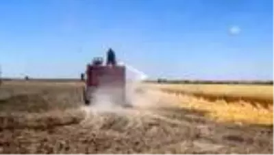 Son dakika... Karapınar'da erozyon sahasında ekili alan yangını Son dakika... Karapınar'da erozyon sahasında ekili alan yangını
