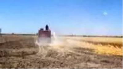 Son dakika... Karapınar'da erozyon sahasında ekili alan yangını Son dakika... Karapınar'da erozyon sahasında ekili alan yangını