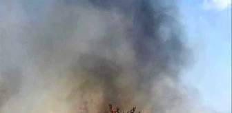 Manisa'da anız yangını ormanlık alana sıçradı