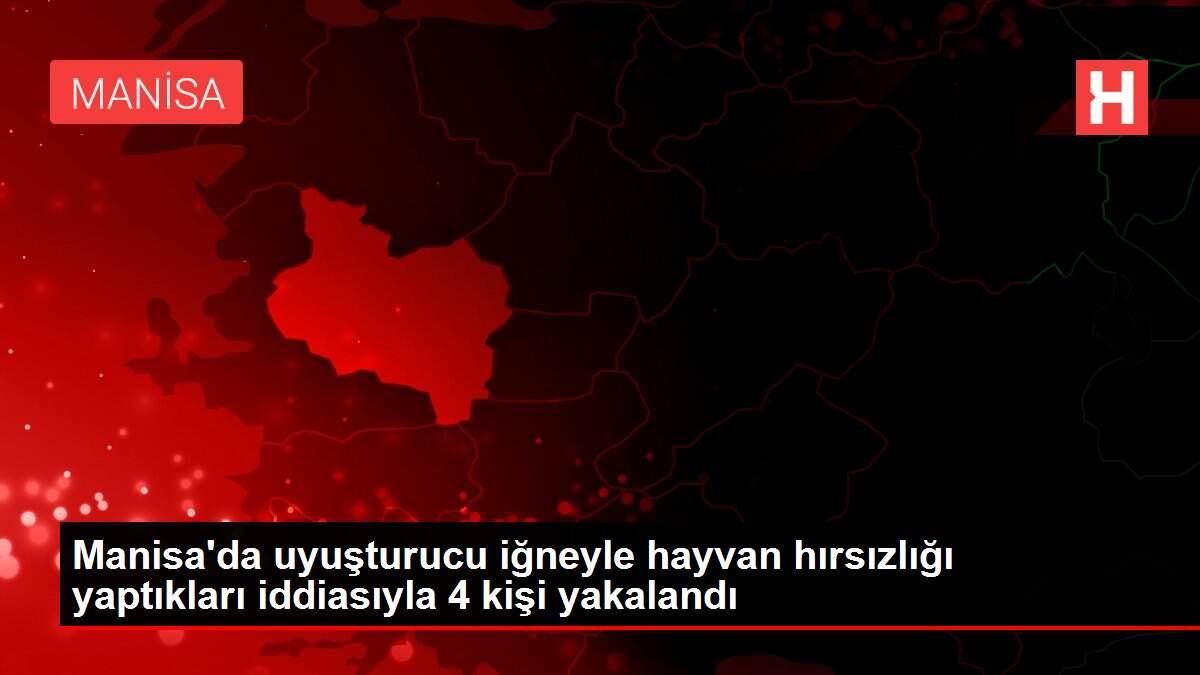 Manisa'da uyuşturucu iğneyle hayvan hırsızlığı yaptıkları iddiasıyla 4 kişi yakalandı