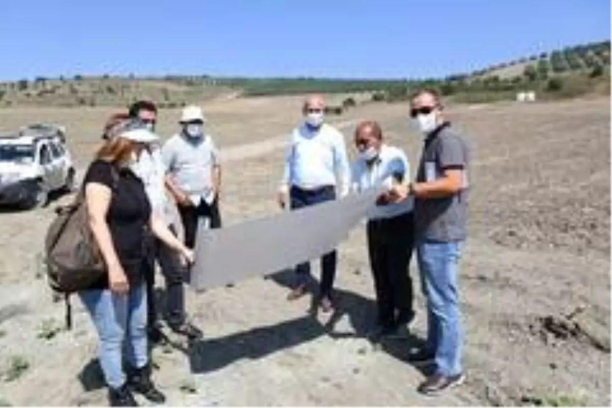 Nilüfer Belediyesi süs bitkilerini kendisi üretecek